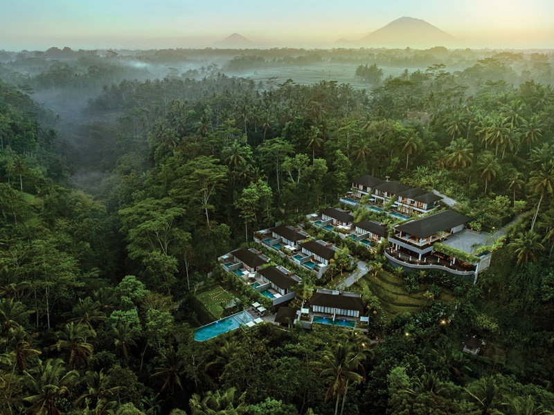 Scenic Sanctuary for the Senses: A Blissful Sojourn at Samsara Ubud